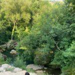 Cascade naturelle et rivière au cœur de gorges verdoyantes avec rochers et végétation dense